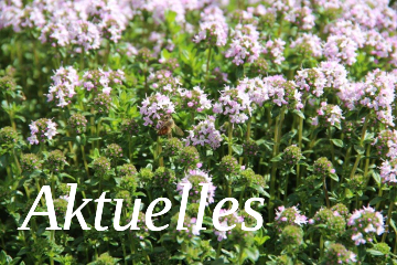 Aktuell