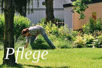 Pflege